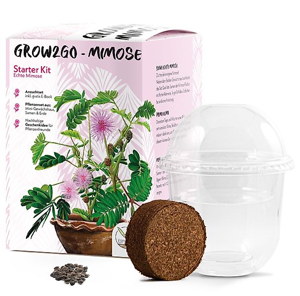 HappySeed Blumensamen Mimose Anzuchtset - Pflanzset günstig online kaufen