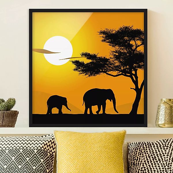 Bild mit Rahmen - Quadrat African Elefant Walk günstig online kaufen