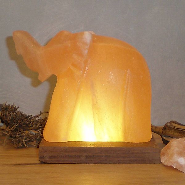 HIMALAYA SALT DREAMS Salzkristall-Tischlampe »Elefant«, Leuchtmittel LED-Mo günstig online kaufen