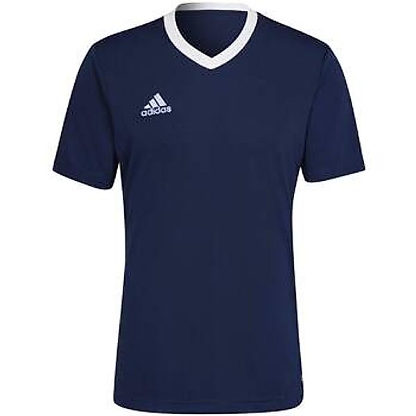 adidas  T-Shirts & Poloshirts - günstig online kaufen