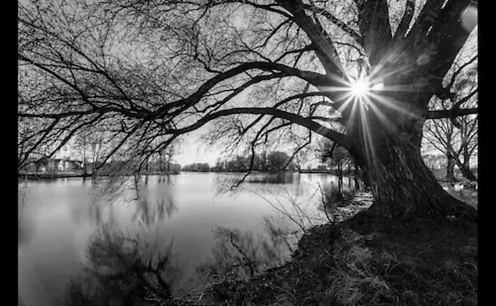 Papermoon Fototapete »Baumsee Sonnenaufgang« günstig online kaufen