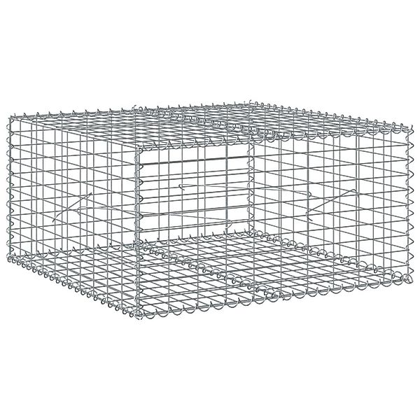 vidaXL Blumentopf Gabione mit Deckel 100x100x50 günstig online kaufen