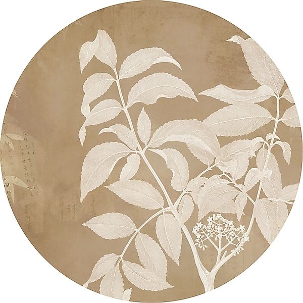 Komar Vliesfototapete Dot Blooming Branch selbstklebend Ø 125 cm günstig online kaufen