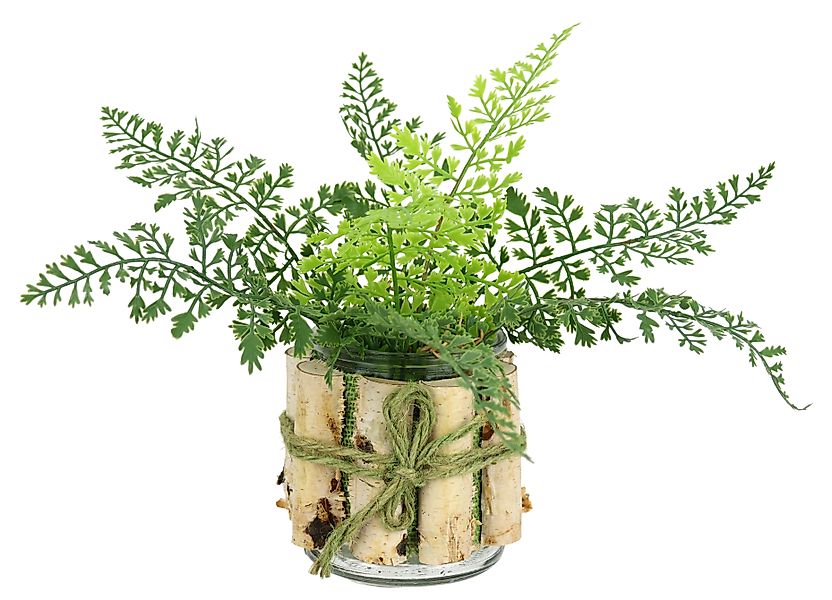 I.GE.A. Kunstpflanze "Farnbusch in Pflanzschale" Vogel Deko Pflanze Grünpfl günstig online kaufen