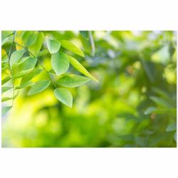 younikat Küchenrückwand Younikat, Küchen-Rückwand Spritzschutz I günstig online kaufen