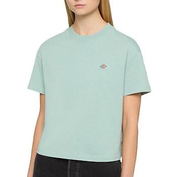 Dickies  T-Shirts & Poloshirts DK0A4Y8LJ591 günstig online kaufen