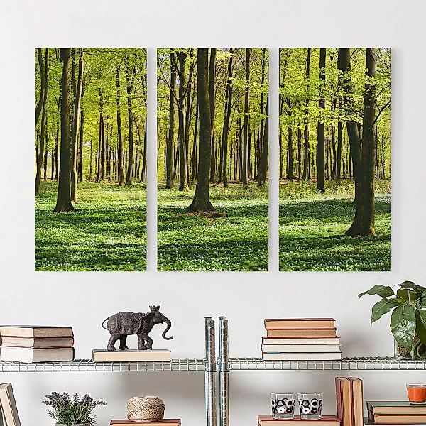 3-teiliges Leinwandbild Wald - Querformat Waldwiese günstig online kaufen