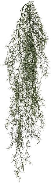 Kunstranke Tillandsia, Creativ green, Höhe 120 günstig online kaufen