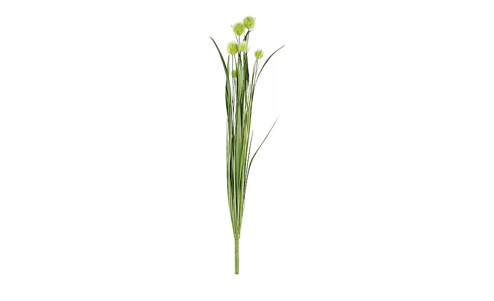 Kugelgraszweig - grün - Kunststoff - 75 cm - Dekoration > Kunstblumen - Möb günstig online kaufen
