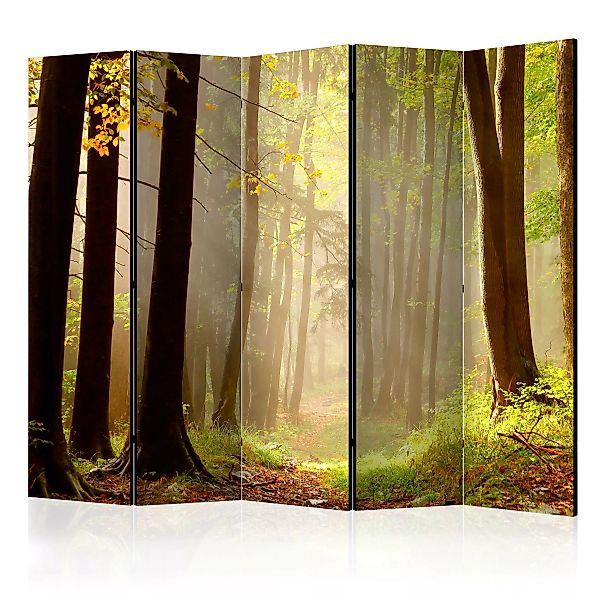5-teiliges Paravent - Mysterious Forest Path Ii [room Dividers] günstig online kaufen