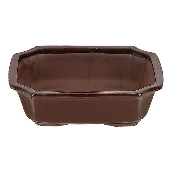 Rivanto Pflanzschale, Bonsai Schale rechteckig L günstig online kaufen