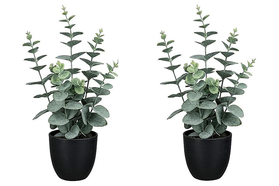 Kunstpflanze Eukalyptus im Topf NELE, H günstig online kaufen