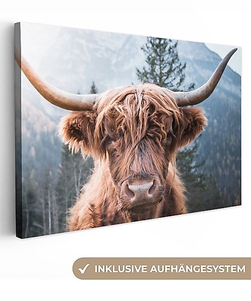 OneMillionCanvasses® Leinwandbild Schottischer Highlander - Berge günstig online kaufen
