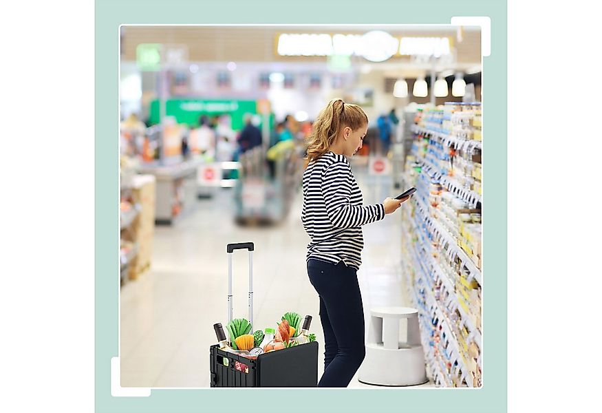 relaxdays Einkaufstrolley mit Deckel, grau günstig online kaufen