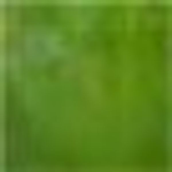 KiNZLER Bettwäsche "Aimee" 2 Stk. tlg. aus Baumwoll-Satin günstig online kaufen