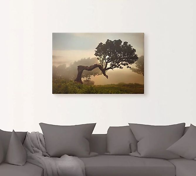 Artland Wandbild »Lorbeerbaum«, Bäume, (1 St.), als Alubild, Outdoorbild, L günstig online kaufen