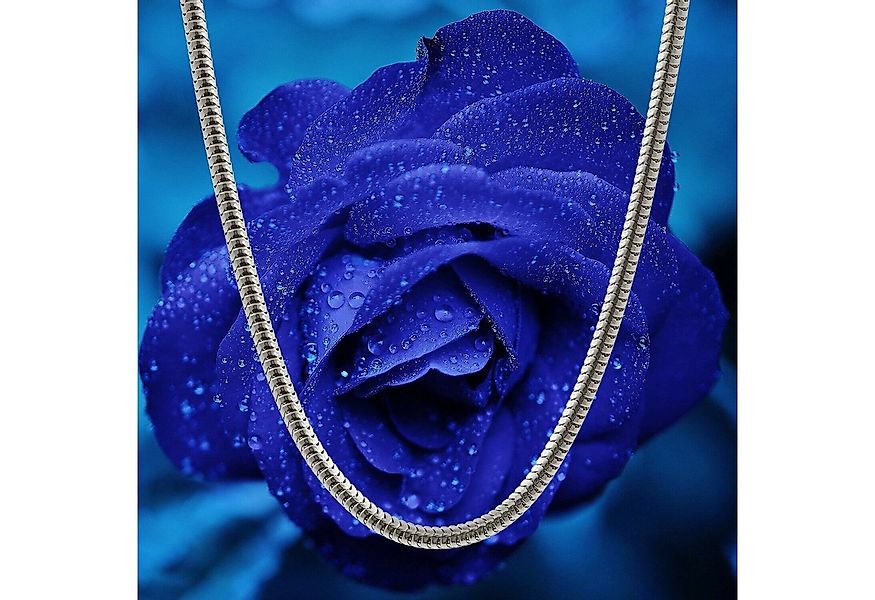 HOPLO Silberkette Silberkette Schlangenkette rund Breite 0,9 mm Länge 42 cm günstig online kaufen