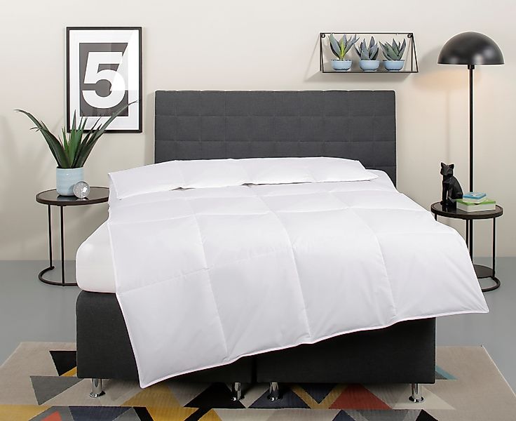my home Daunenbettdecke »Cyra, Bettdecke 135x200 cm, 155x220 cm«, normal, F günstig online kaufen