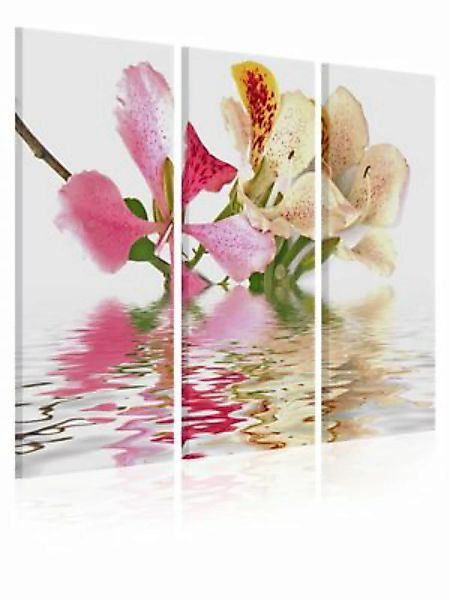 artgeist Wandbild Orchideen in kleine Punkte mehrfarbig Gr. 60 x 40 günstig online kaufen