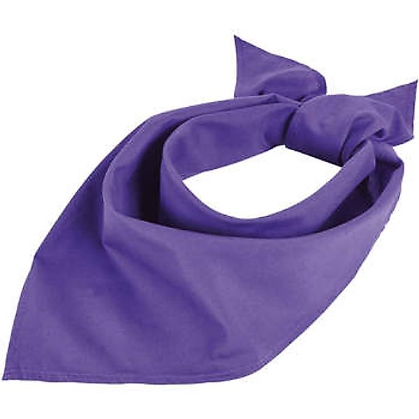 Sols  Schal BANDANA Morado Oscuro-PAÑUELO DE CUELLO COMPLEMENTO günstig online kaufen