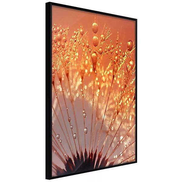 Poster - Orange Breath Of The Summer günstig online kaufen