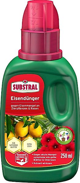 Evergreen Eisendünger Substral Eisendünger, Flüssigdünger gegen günstig online kaufen