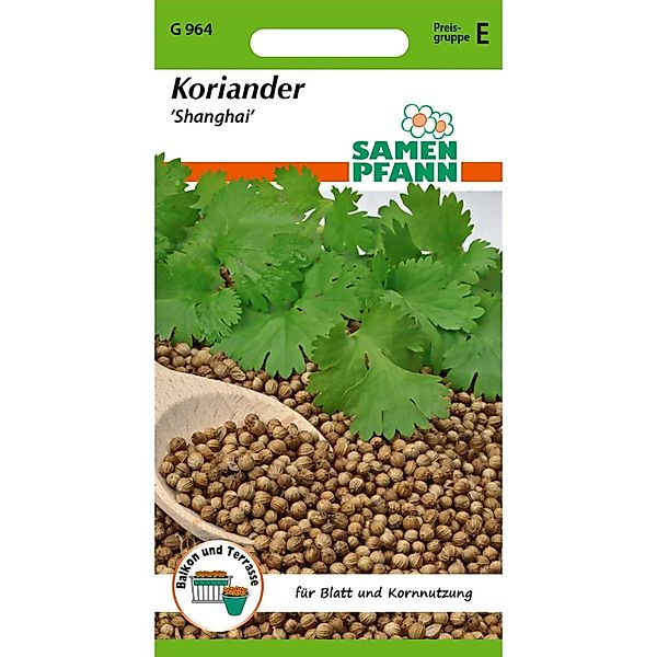 SAMEN PFANN Koriander Shanghai günstig online kaufen