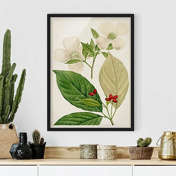 Bild mit Rahmen - Hochformat Tableau Blatt Blüte Frucht III günstig online kaufen