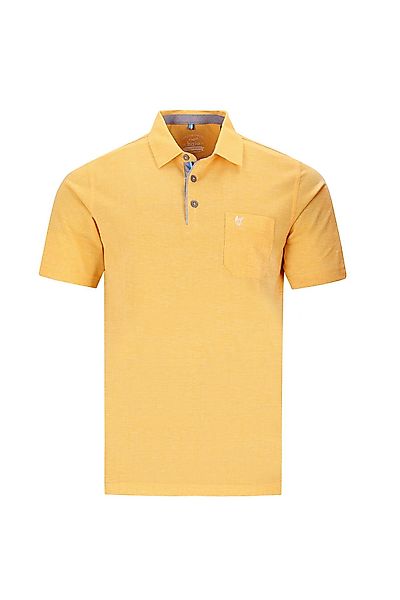 Hajo Poloshirt 27341 Stay Fresh, bügelfrei, günstig online kaufen