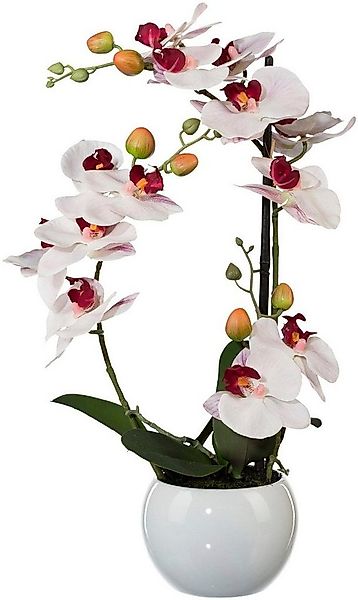Kunstpflanze Phalaenopsis Orchidee, Creativ green, Höhe 42 cm günstig online kaufen