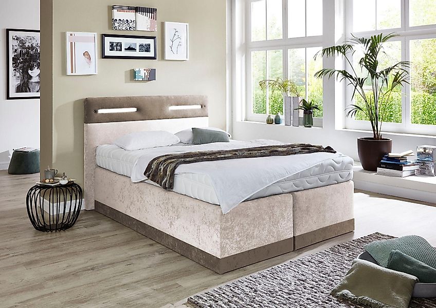 Westfalia Schlafkomfort Boxspringbett, mit LED-Beleuchtung günstig online kaufen