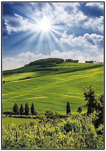 Wallario Poster, Strahlender Sonnenschein, in verschiedenen günstig online kaufen