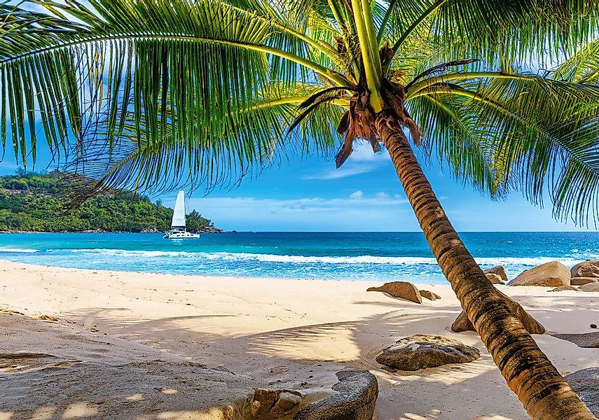 Castorland Puzzle Urlaub auf den Seychellen, günstig online kaufen