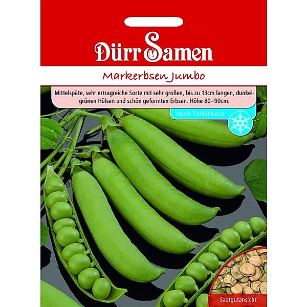 Dürr Samen Markerbsen Jumbo Saatgut günstig online kaufen
