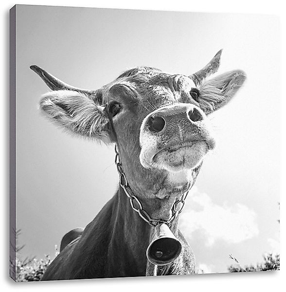 Pixxprint Leinwandbild Portrait einer Kuh, Portrait günstig online kaufen