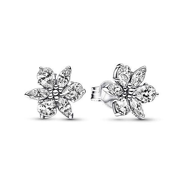 Pandora Paar Ohrstecker 292633C01 günstig online kaufen