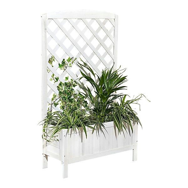 Feel2Home Blumenkasten Blumenkasten Holz Rankkasten Rankgitter günstig online kaufen