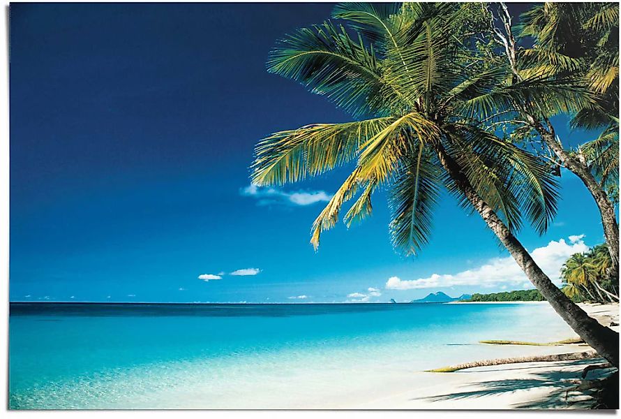 Reinders Poster "Palme am Strand" 1 Stk. tlg. günstig online kaufen