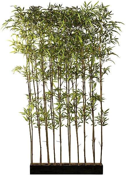 Creativ green Künstliche Zimmerpflanze "Bambusraumteiler", im Holzkasten günstig online kaufen