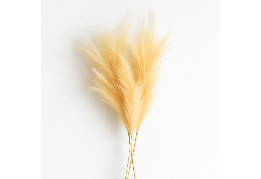 Kunstgras Pampasgras Deko Künstlich XXL Pampasgras Creme / Beige Pampasgras günstig online kaufen