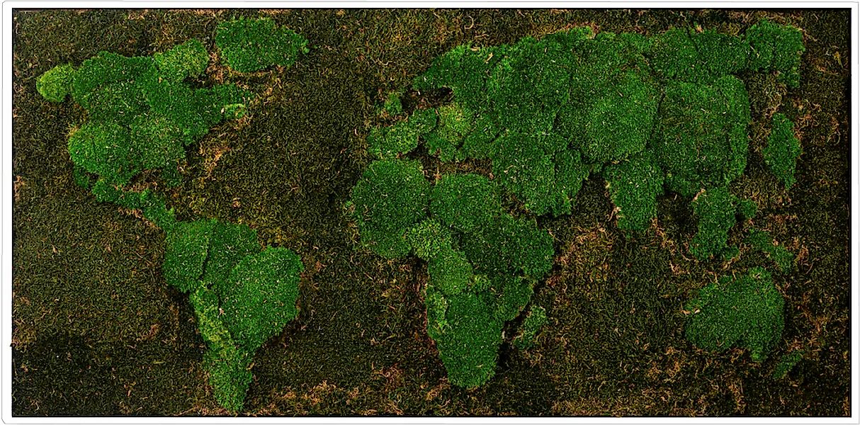 Bönninghoff Bild mit Rahmen »Moos«, Weltkarte, (1 St.), jedes Bild ein Unik günstig online kaufen