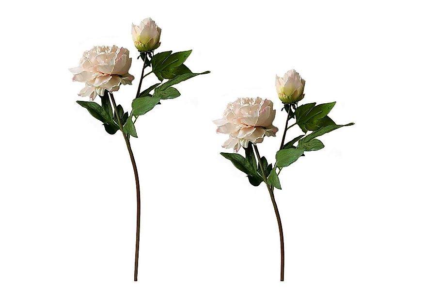 Kunstblume Pfingstrose 2er Set Rosa Flora Pfingstrose, HTI-Living, Höhe 23 günstig online kaufen