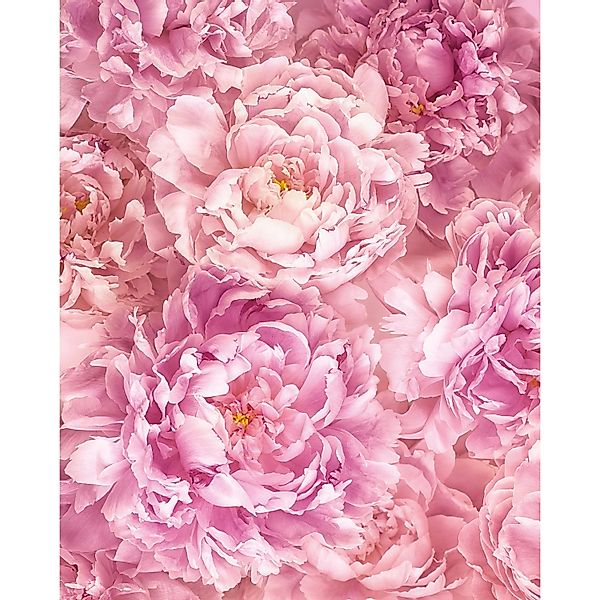 Komar Fototapete Vlies Soave  200 x 250 cm günstig online kaufen