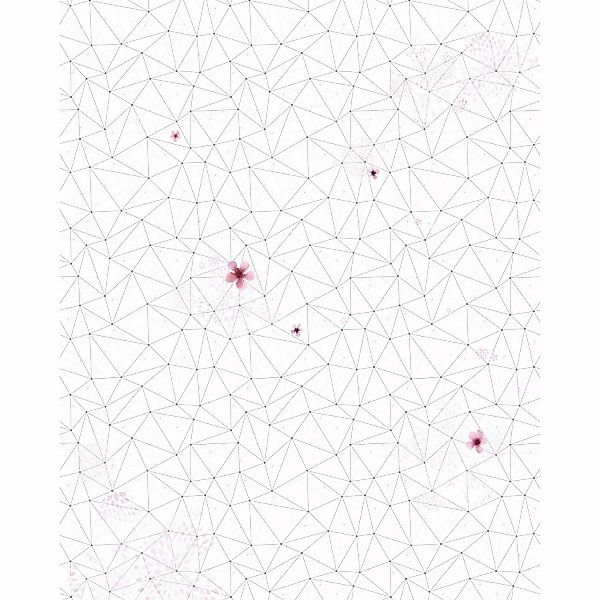 Komar Fototapete Vlies Cherry Blossom  200 x 250 cm günstig online kaufen