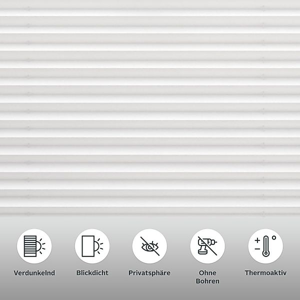 my home Plissee »Marei Thermo«, verdunkelnd, Perlreflex-beschichtet-energie günstig online kaufen