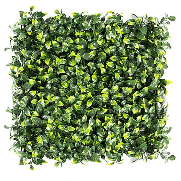 Primaflor-Ideen in Textil Kunstpflanze "Pflanzenwand, 50x50cm" Wanddeko, re günstig online kaufen