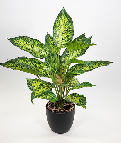 Kunstpflanze Dieffenbachia 50cm grün-gelb im Topf günstig online kaufen