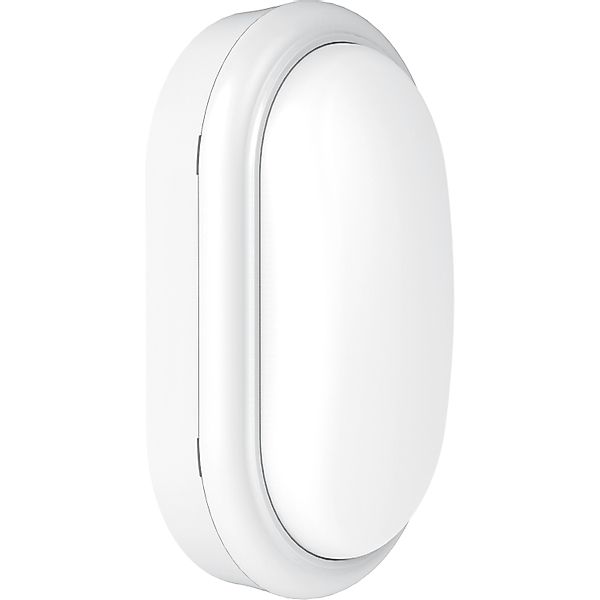 Philips Wandleuchte Projectline Oval 15 W 1400 lm 4000 K IP65 günstig online kaufen