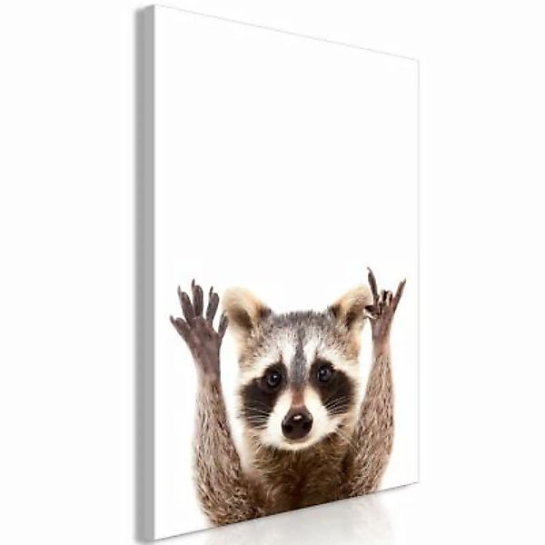 artgeist Wandbild Raccoon (1 Part) Vertical mehrfarbig Gr. 40 x 60 günstig online kaufen