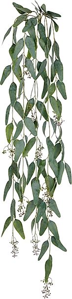 Kunstranke Eukalyptus, Creativ green, Höhe 115 günstig online kaufen
